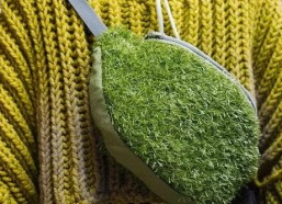 青草青青国产视频,国产视频中的青春记忆与成长轨迹