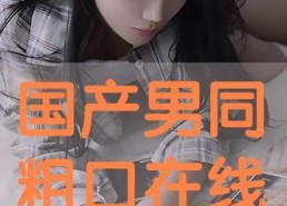国产男同在线,探索情感与身份的多元表达
